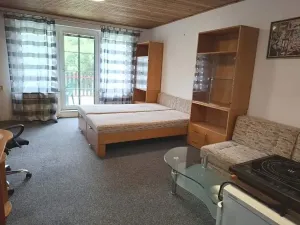 Pronájem bytu 1+kk, Brno, Viniční, 29 m2