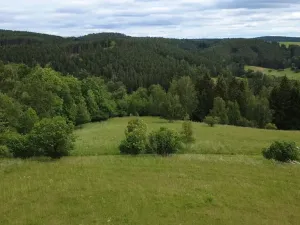 Prodej pozemku pro bydlení, Planá, 2215 m2