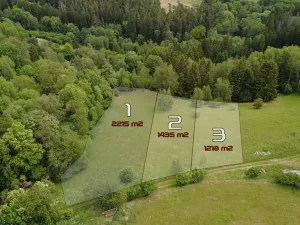 Prodej pozemku pro bydlení, Planá, 1435 m2
