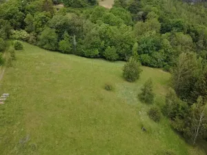 Prodej pozemku pro bydlení, Planá, 1435 m2