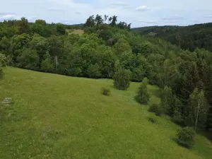 Prodej pozemku pro bydlení, Planá, 1218 m2