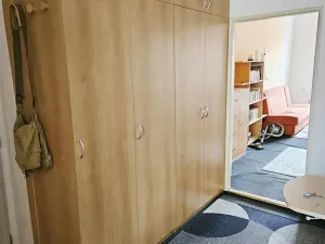 Pronájem bytu 1+1, Plzeň, Spolková, 34 m2