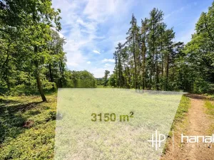 Prodej rodinného domu, Hluchov, 127 m2