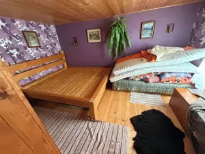 Prodej chaty, Vyskytná nad Jihlavou, 60 m2