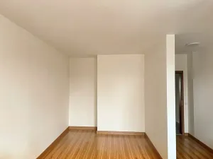 Prodej bytu 1+kk, Praha, Plzeňská, 36 m2