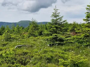 Prodej chaty, Mezina, 55 m2