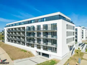 Prodej bytu 1+kk, Plzeň, Železná, 37 m2
