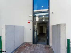 Prodej bytu 1+kk, Plzeň, Železná, 37 m2