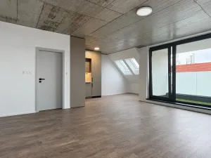Pronájem bytu 1+kk, České Budějovice, Štítného, 44 m2