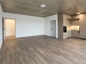 Pronájem bytu 1+kk, České Budějovice, Štítného, 44 m2