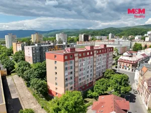 Prodej bytu 1+1, Litvínov - Horní Litvínov, Čapkova, 36 m2