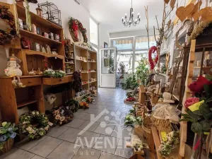 Prodej komerční nemovitosti, Ratíškovice, Vítězná, 329 m2