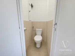 Prodej bytu 2+kk, Praha - Nusle, Kloboučnická, 50 m2