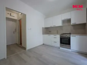 Pronájem bytu 1+1, Prostějov, Šárka, 29 m2