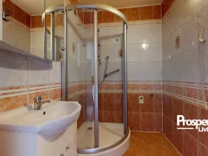 Prodej bytu 1+1, Teplice - Trnovany, Palackého, 36 m2