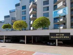 Prodej bytu 2+kk, České Budějovice - České Budějovice 2, Volejbalistů, 54 m2