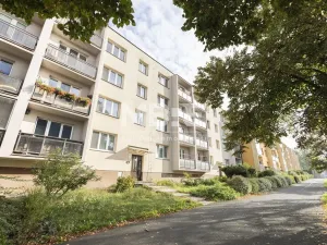 Pronájem bytu 1+1, Karviná - Mizerov, Borovského, 36 m2