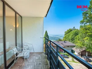 Prodej bytu 1+1, Příbram - Příbram II, Dlouhá, 31 m2