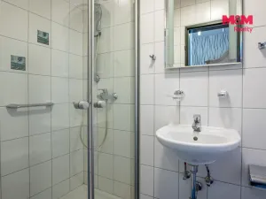 Prodej bytu 1+1, Příbram - Příbram II, Dlouhá, 31 m2