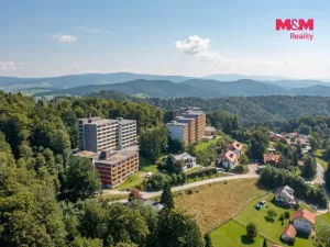 Prodej bytu 1+1, Příbram - Příbram II, Dlouhá, 31 m2