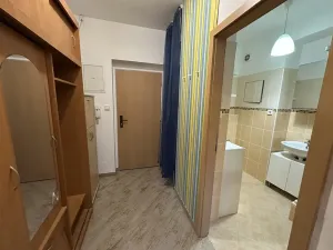 Pronájem bytu 1+1, Mladá Boleslav - Mladá Boleslav II, Svojsíkova, 38 m2