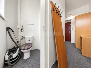 Prodej bytu 2+kk, Plzeň, Čechova, 53 m2