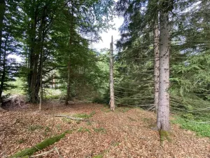 Prodej pozemku, Železná Ruda, 3072 m2