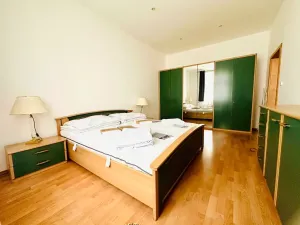 Pronájem bytu 3+1, Praha - Žižkov, Seifertova, 80 m2
