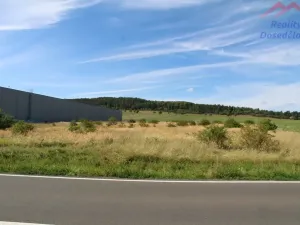 Prodej komerčního pozemku, Cerhovice, Plzeňská, 9984 m2