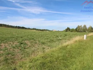 Prodej komerčního pozemku, Cerhovice, Plzeňská, 9984 m2