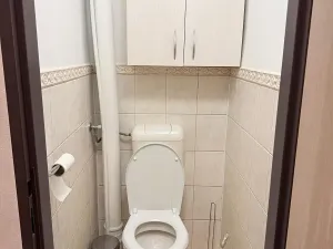 Pronájem bytu 2+kk, Milenov, 58 m2