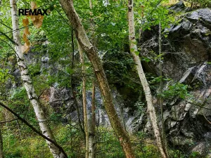 Prodej pozemku, Číčovice, 5606 m2