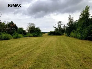 Prodej pozemku, Číčovice, 5606 m2