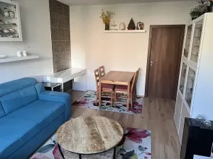 Prodej bytu 3+1, Karlovy Vary, Okružní, 67 m2