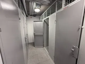 Pronájem bytu 2+kk, Nepomuk, Višňovka, 61 m2