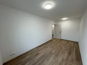 Pronájem bytu 3+kk, Nepomuk, Višňovka, 93 m2