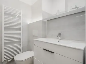 Pronájem bytu 1+kk, Praha - Žižkov, Řehořova, 30 m2