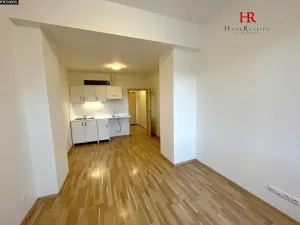 Pronájem bytu 1+kk, Týnec nad Sázavou, 24 m2