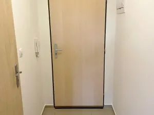 Pronájem bytu 1+kk, Týnec nad Sázavou, 24 m2