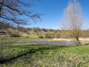 Prodej rodinného domu, Slavkov u Brna, 105 m2