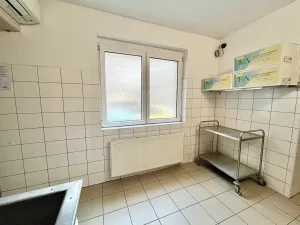 Prodej restaurace, Štěchovice, 102 m2
