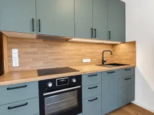 Pronájem bytu 1+kk, Praha - Podolí, Dvorecká, 43 m2
