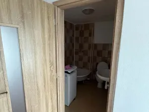 Prodej vícegeneračního domu, Ondratice, 110 m2