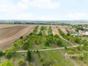 Prodej zahrady, Prace, 832 m2