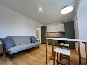 Pronájem bytu 1+kk, Praha - Nusle, Vrtbova, 27 m2