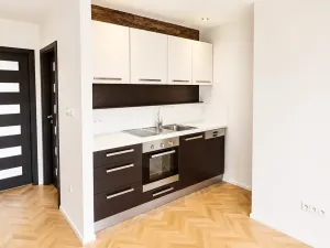 Pronájem bytu 3+kk, Brno, Fryčajova, 64 m2