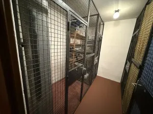 Prodej bytu 3+1, Hodonín, Sadová, 73 m2