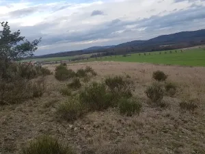 Prodej louky, Stará Huť, 3629 m2