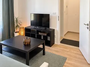 Prodej bytu 1+kk, Plzeň, Železná, 27 m2