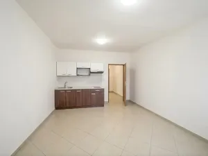 Prodej bytu 1+kk, Brno, Dukelská třída, 29 m2